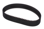 Timing Belt - 81 Tooth for #6200